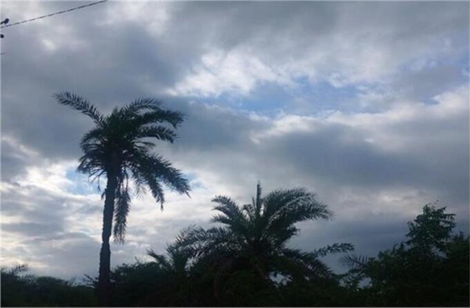 हरियाणा के इन 14 जिलों में बरसेंगे बादल, चलेंगी तेज हवाएं…पढ़ें जरूरी खबर, कहीं फंस न जाएं आप