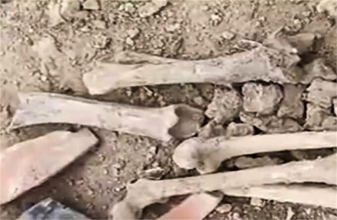 हरियाणा के जींद में हड़कंप: खुदाई के दौरान मिले 10 फुट लंबे नर कंकाल