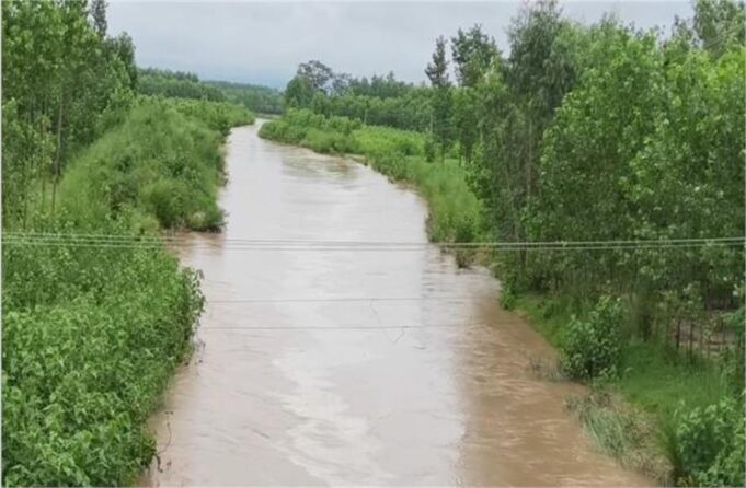 छछरौली में बारिश ने मचाई तबाही, 500 एकड़ फसल बर्बाद