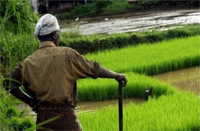 Good News: हरियाणा के किसानों की बल्ले-बल्ले, सरकार ने दी बड़ी सौगात