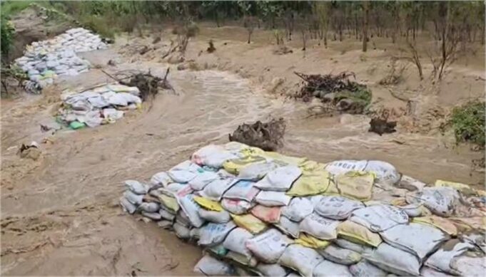 बारिश ने यमुनानगर जिले में मचाई तबाही, टूटा नदी का बांध…कई फिट तक जमा हुआ पानी, फसलें हुई जलमग्न