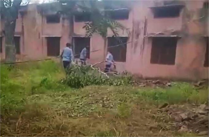 पढ़ाई करें या सफाई! सोनीपत के मिडिल स्कूल में छात्रों से कराई जा रही पेड़ों की कटाई, अभिभावकों ने उठाई जांच की मांग