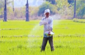 हरियाणा के किसान जल्दी कर लें ये काम, अंतिम तारीख से पहले फटाफट करें आवेदन… जानिए डिटेल