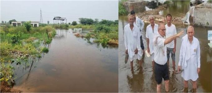 Haryana के इस जिले में 2500 एकड़ जमीन जलमगन, फसल पूरी तरह तबाह…ड्रेन टूटने से हालात हुए खराब