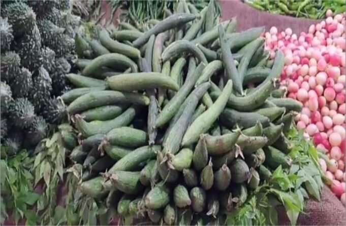 फरीदाबाद: बारिश से सब्जी फसलों को भारी नुकसान, मंडियों में आवक हुई कम, कीमतें बढ़ीं