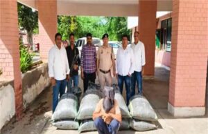 केले के सहारे डोडा पोस्त तस्करी का मामला, छोटी गलती ने आरोपी को जेल भेजा