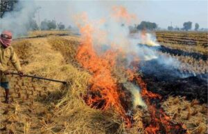 प्रदूषण नियंत्रण को लेकर सख्त हुई हरियाणा सरकार, पराली जलाने वालों पर होगी कड़ी कार्रवाई