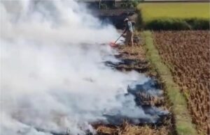 पराली जलाने पर सख्ती: जिला प्रशासन अलर्ट, दर्जनों टीमें कर रहीं निगरानी