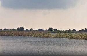 हिसार में टूटी ड्रेन, सैकड़ों एकड़ फसल जलमग्न, 200 से ज्यादा ढाणियां खाली, लोगों ने किया पलायन, सरकार के खिलाफ गुस्साए किसान