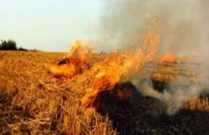 हरियाणा के 2 गांव रेड जोन में, 50 किसानों पर अधिकारियों की पैनी नज़र