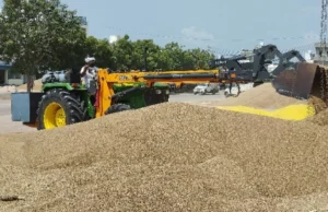 क्या है भावांतर भरपाई योजना? कम दाम पर बाजरा बेचने पर सरकार करेगी किसानों को भुगतान