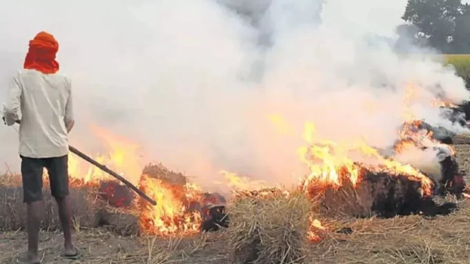 पराली जलाने वाले किसानों पर होगी एफआईआर, सरकार ने अनुदान राशि का लाभ रोकने का किया फैसला
