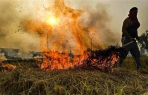 हरियाणा सरकार का कड़ा आदेश: पराली जलाने पर किसान होंगे जेल जाएंगे