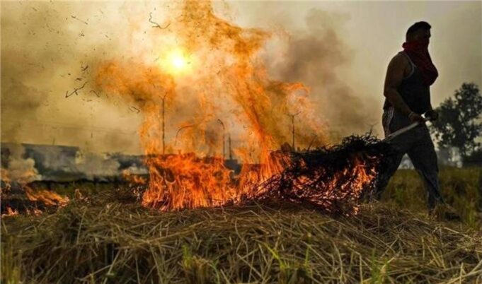 हरियाणा सरकार का कड़ा आदेश: पराली जलाने पर किसान होंगे जेल जाएंगे