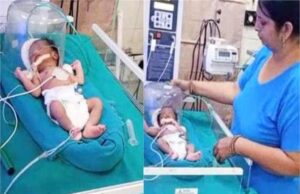 राहगीरों ने झाड़ियों से आती मासूम की रोने की आवाज सुनकर पाया चौंकाने वाला सच