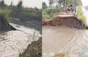 फतेहाबाद में सिद्धमुख ब्रांच नहर टूटने से 1,000 एकड़ फसल जलमग्न