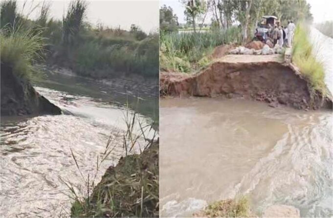 फतेहाबाद में सिद्धमुख ब्रांच नहर टूटने से 1,000 एकड़ फसल जलमग्न
