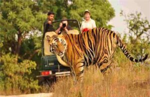 हरियाणा सरकार को SC का झटका: अरावली जंगल सफारी पर तुरंत रोक