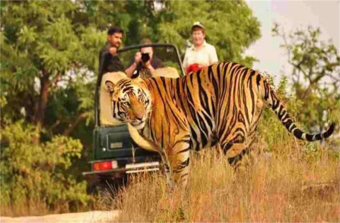 हरियाणा सरकार को SC का झटका: अरावली जंगल सफारी पर तुरंत रोक