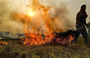 पराली जलाने पर सख्ती: इस जिले के 5 गांव येलो जोन में शामिल