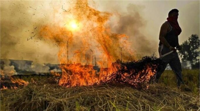 पराली जलाने पर सख्ती: इस जिले के 5 गांव येलो जोन में शामिल
