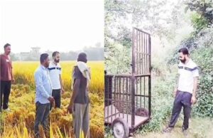 अंबाला में तेंदुआ दिखने की अफवाह पर वन विभाग ने किया स्पष्टीकरण, लोगों से की ये अपील