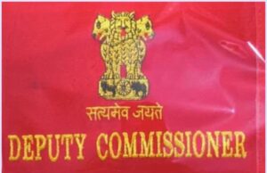 हरियाणा में उपायुक्तों को मिली नई शक्तियां, पराली जलाने पर होगी कड़ी कार्रवाई