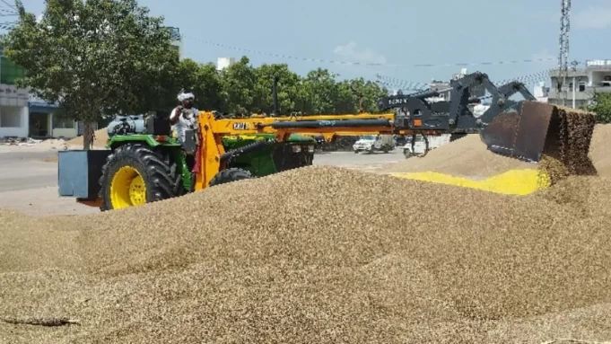 तावडू मंडी में बाजरे की भारी आवक, 65 हजार कुंतल पार कर तोड़ा रिकॉर्ड