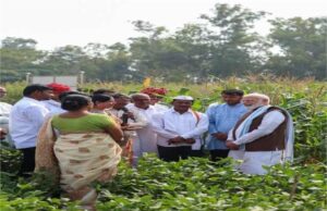 दलहनी फसल आत्मनिर्भरता मिशन: PM मोदी ने पूछा किसानों से योजनाओं का हाल, हिसार के किसानों ने बताया अपना अनुभव