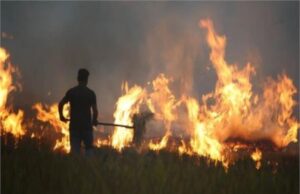 पराली जलाने पर कार्रवाई: गांव के किसानों पर भारी जुर्माना और FIR दर्ज