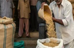 राशन डिपो में पहुंचा खराब अनाज, 50 किलो की बोरी में मिली 53 किलो सड़ा हुआ गेहूं