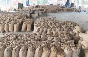 करनाल में धान खरीद में धांधली का खुलासा, राइस मिलर समेत 4 इंस्पेक्टरों पर मुकदमा दर्ज