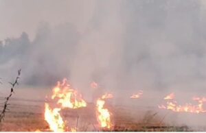 भिवानी में पराली जलाने पर कड़ी कार्रवाई, प्रशासन ने बनाया एक्शन प्लान, जागरूकता और सख्ती दोनों लागू