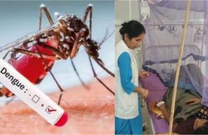 सिरसा में डेंगू के बढ़ते मामले, मरीजों की संख्या 275 पहुंची — स्वास्थ्य विभाग ने की सतर्क रहने की अपील