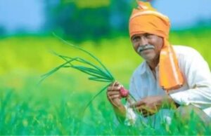 हरियाणा के किसानों को बड़ी राहत: अब जमीन की मनचाही कीमत तय करने में नहीं रहेगी पाबंदी