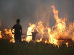 हरियाणा में पराली जलाने के मामलों में 77% कमी, फसल अवशेष न जलाने वाले किसानों को मिलेगा इनाम