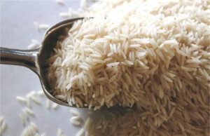 धान घोटाले की जांच में पुलिस ने कसी कमर, 7 राइस मिलों के मामले से जल्द उठेगा पर्दा