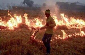 पराली केस में बड़ा एक्शन—35 किसान हिरासत में, 9 अधिकारी निलंबित, 23 को नोटिस जारी