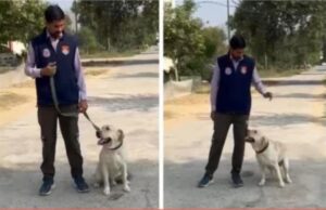 ‘जैक’ और ‘रैम्बो’ की सूझबूझ से खुला राज, घर पहुंची पुलिस तो उड़ गए होश