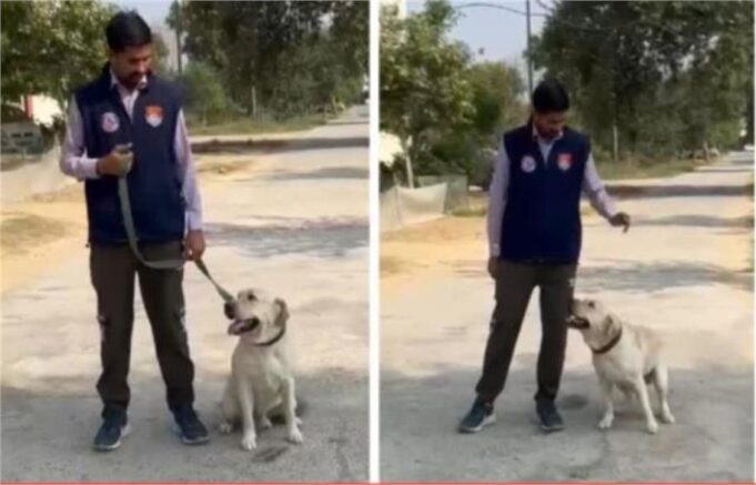 ‘जैक’ और ‘रैम्बो’ की सूझबूझ से खुला राज, घर पहुंची पुलिस तो उड़ गए होश