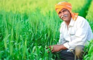 हरियाणा में फसल बीमा का मौका, आवेदन की अंतिम तारीख न चूकें