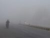 हरियाणा में कोहरे का कहर, कई इलाकों में विजिबिलिटी जीरो, IMD अलर्ट