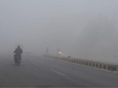 हरियाणा में कोहरे का कहर, कई इलाकों में विजिबिलिटी जीरो, IMD अलर्ट