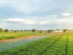 हरियाणा में भूमि बंटवारे के मामलों का निपटारा जल्द, सरकार ने लिया बड़ा फैसला