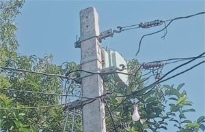 खतरनाक बिजली के पोल हटेंगे हरियाणा की सड़कों से, खर्च संबंधित विभागों से लिया जाएगा