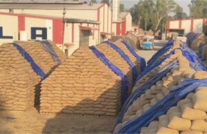 यमुनानगर में 62 करोड़ रुपए के धान घोटाले में संदीप सिंगला गिरफ्तार, पत्नी अभी भी फरार