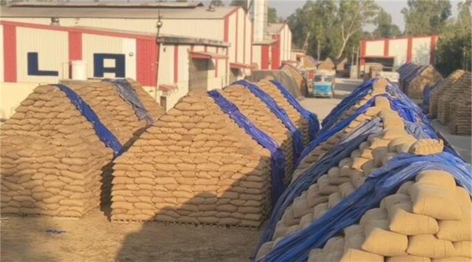 यमुनानगर में 62 करोड़ रुपए के धान घोटाले में संदीप सिंगला गिरफ्तार, पत्नी अभी भी फरार