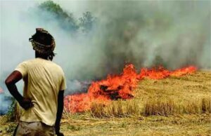 पराली जलाने की घटनाओं में कमी, आंकड़े देखकर होगा अचरज