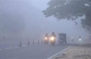 IMD ने हरियाणा में कोहरे को लेकर अलर्ट जारी किया, वाहन सावधान रहें