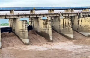 यमुना नदी की सफाई के लिए हरियाणा में अभियान, नालों की निगरानी और इंफ्रास्ट्रक्चर सुधार पर फोकस